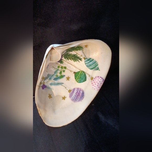 Sea shells - Picture 2 of 5